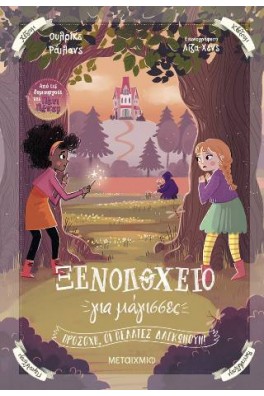 Ξενοδοχείο για μάγισσες 3